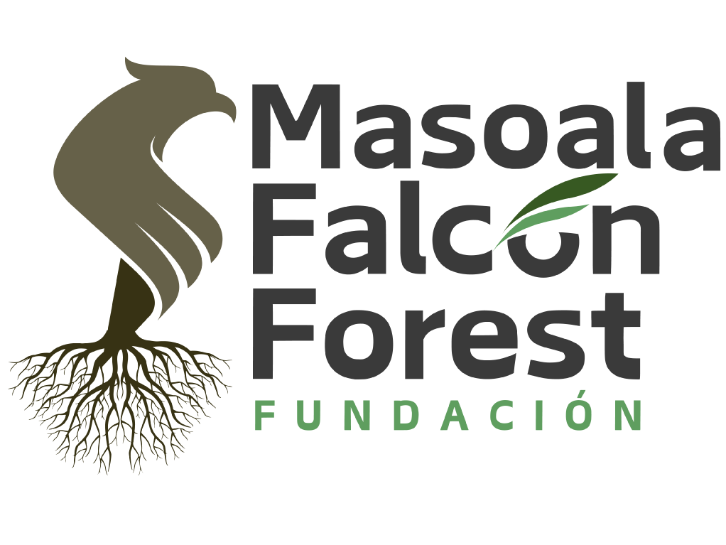 masoalaforest.com